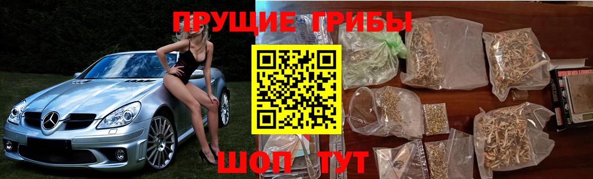 Галлюциногенные грибы мухоморы  Вход с VPN  Гурьевск 